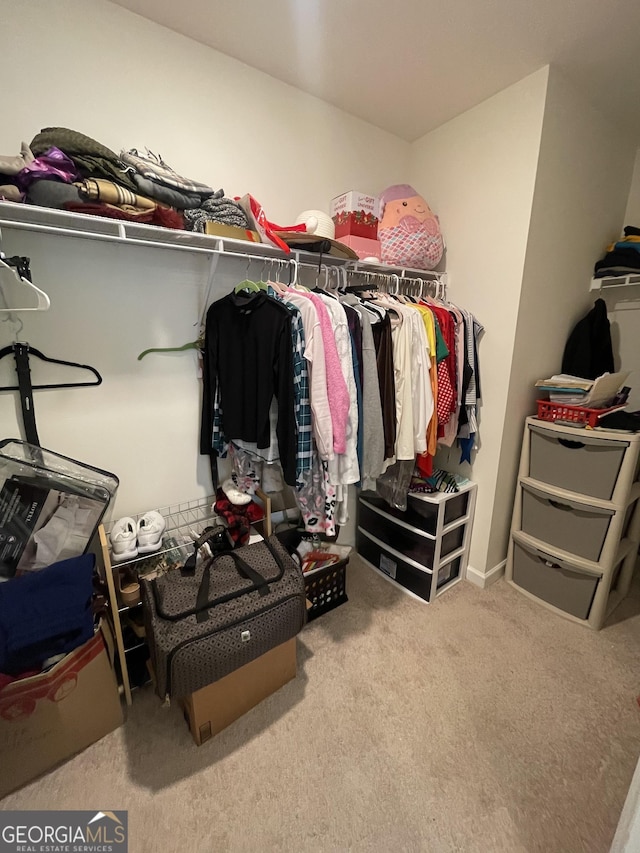 205 Sullivan St, Hampton, GA 30228 - spacious closet featuring carpet