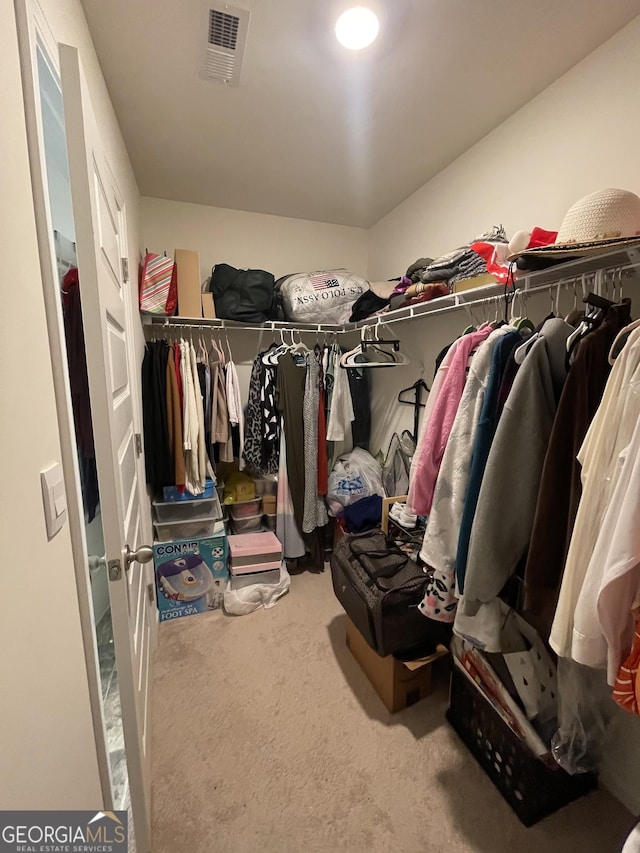 205 Sullivan St, Hampton, GA 30228 - walk in closet with carpet flooring