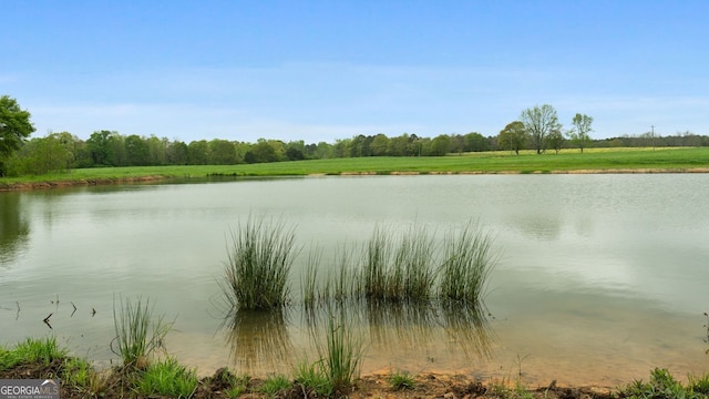 377/-ACRES Brent Rd, Barnesville, GA 30204