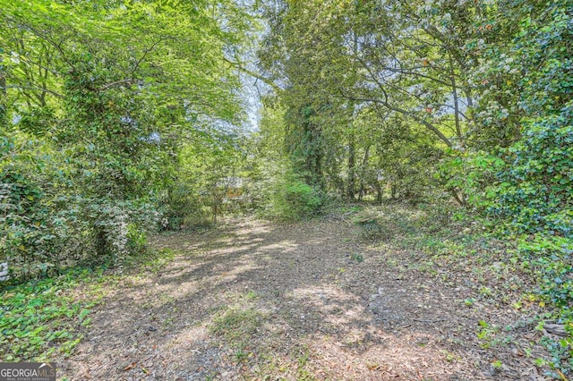 1105 S Parkwood Dr, Forest Park, GA 30297 - view of local wilderness featuring a wooded view