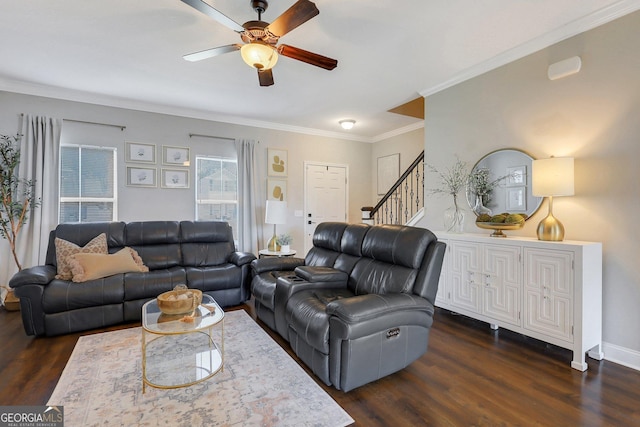 living room featuring dark wood-type flooring, ornamental molding, a ceiling fan, and stairway