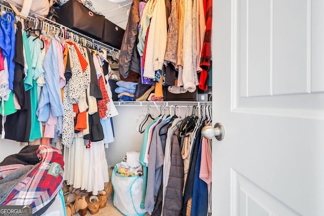 view of spacious closet
