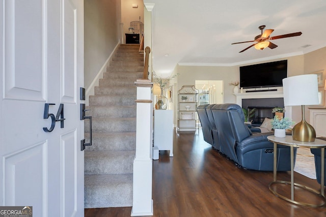 stairway with crown molding, a ceiling fan, a glass covered fireplace, and wood finished floors