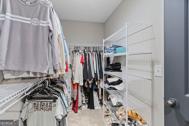 75 Flagstone Dr, Newnan, GA 30263 - spacious closet with carpet flooring