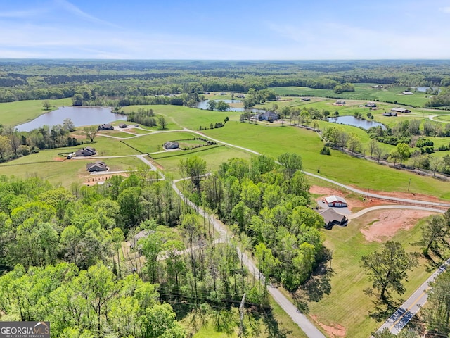 75 Flagstone Dr, Newnan, GA 30263 - bird's eye view of a nearby body of water