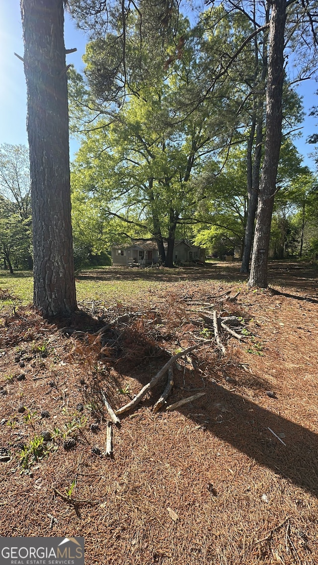 1099 Warren Dr, Riverdale, GA 30296 - view of yard