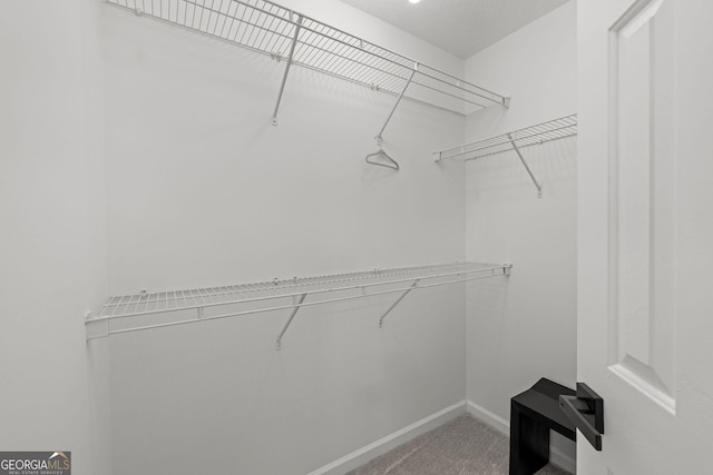 112 Timber Mist Ln, Lawrenceville, GA 30045 - spacious closet with carpet floors