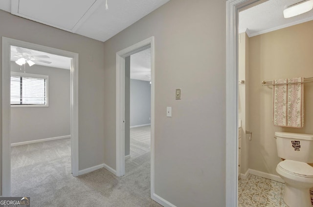 bathroom with baseboards and toilet