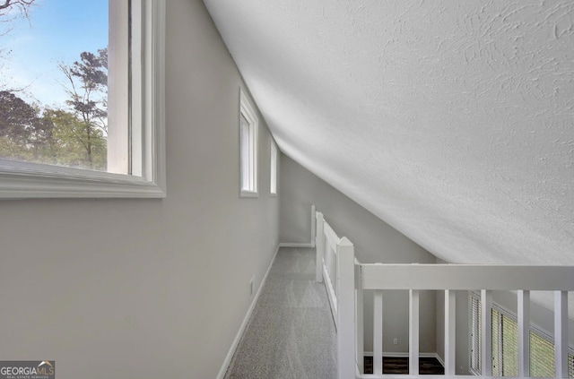 interior space featuring vaulted ceiling, a textured ceiling, baseboards, and carpet floors