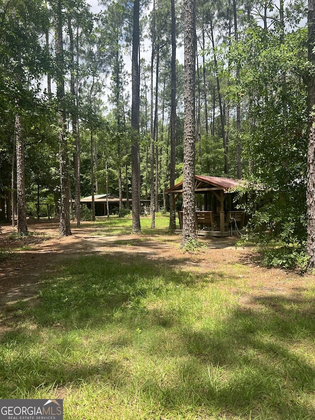 135 Southlake Dr, Moultrie, GA 31768 - view of yard