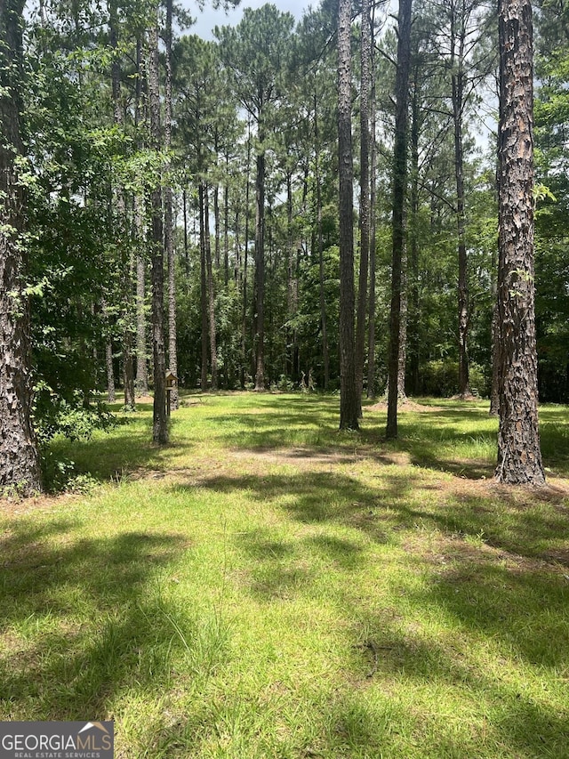 135 Southlake Dr, Moultrie, GA 31768 - view of grassy yard