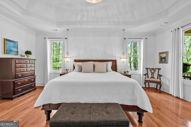 1021 Homestead, Greensboro, GA 30642 - bedroom with a tray ceiling, multiple windows, light wood-style flooring, and crown molding