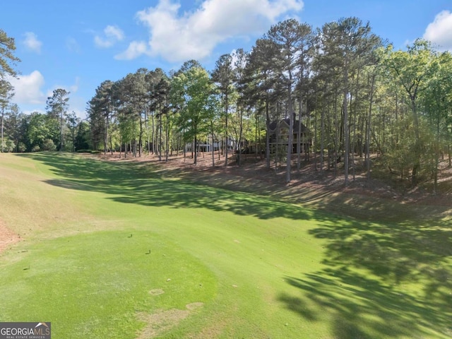 1021 Homestead, Greensboro, GA 30642 - surrounding community with view of scattered trees and golf course view
