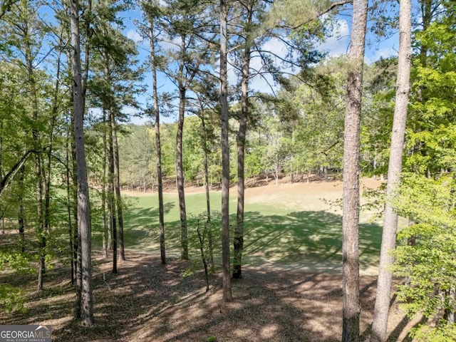 1021 Homestead, Greensboro, GA 30642 - view of yard