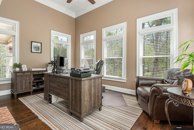 office space with crown molding, dark wood finished floors, baseboards, and a ceiling fan