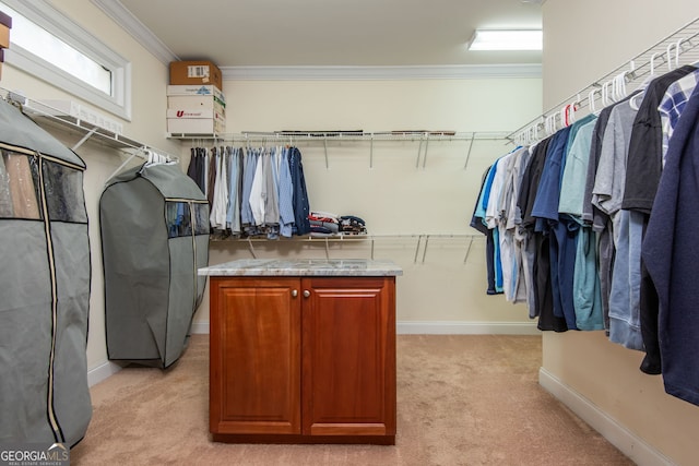 walk in closet with light carpet