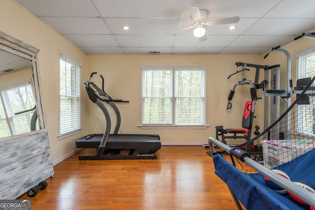 workout area featuring baseboards, visible vents, ceiling fan, a drop ceiling, and wood finished floors