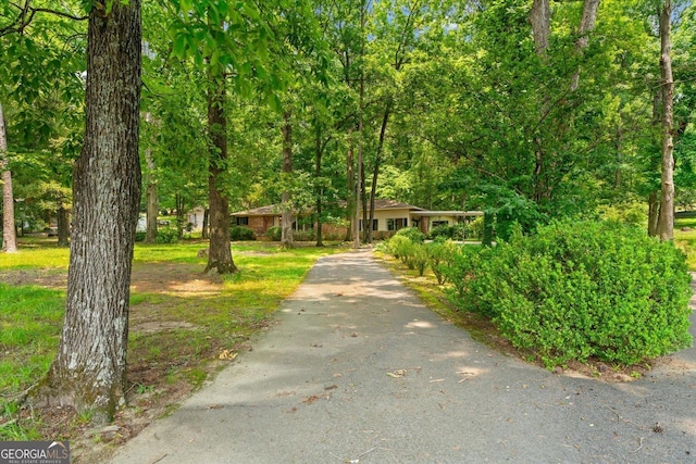 1070 Lovers Lane Rd SE, Calhoun, GA 30701 - view of property's community featuring driveway