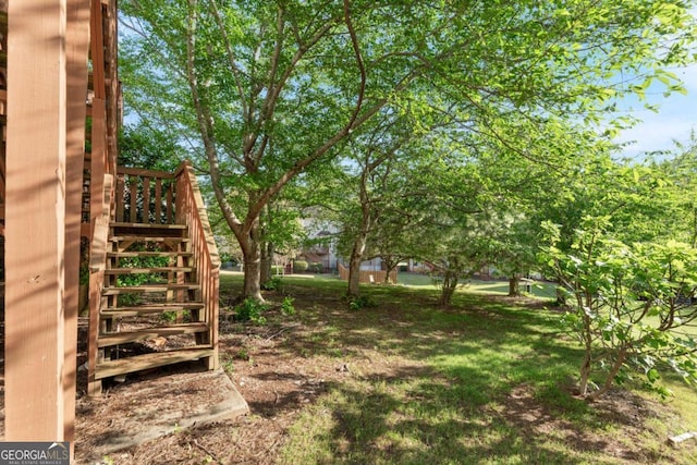 745 Abbotts Mill Ct, Duluth, GA 30097 - view of yard with stairs
