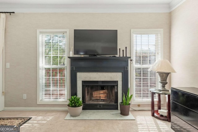 745 Abbotts Mill Ct, Duluth, GA 30097 - room details featuring a premium fireplace, crown molding, baseboards, and carpet floors