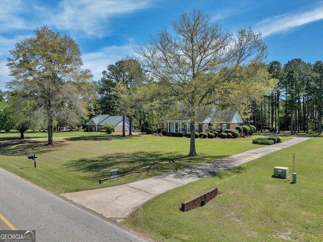 485 Fussell Rd, Leesburg, GA 31763 - view of property's community featuring a lawn