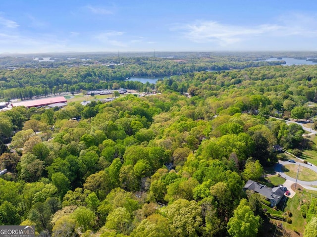 drone / aerial view featuring a forest view and a water view