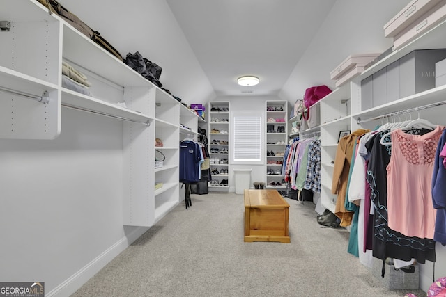 123 Townsend Pass, Alpharetta, GA 30004 - spacious closet with carpet floors
