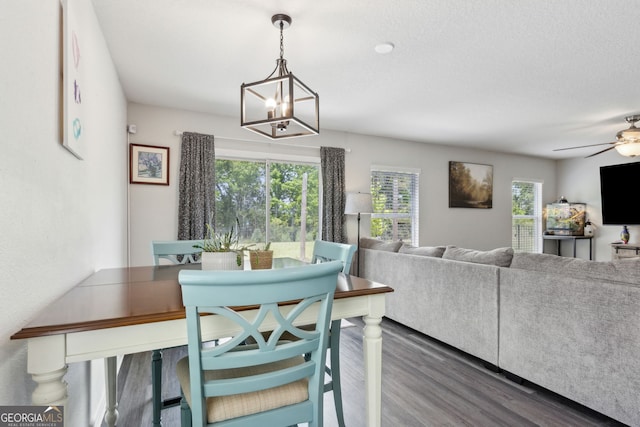 dining space featuring a wealth of natural light, ceiling fan with notable chandelier, and wood finished floors