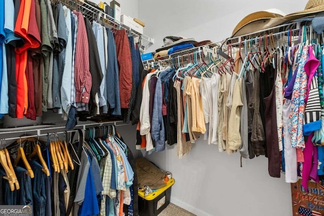 view of walk in closet