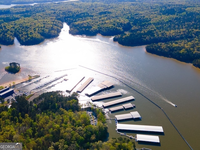 aerial view with a view of trees and a water view