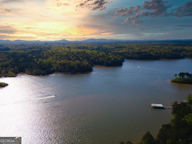 water view with a view of trees