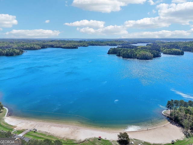 bird's eye view featuring a water view and a wooded view