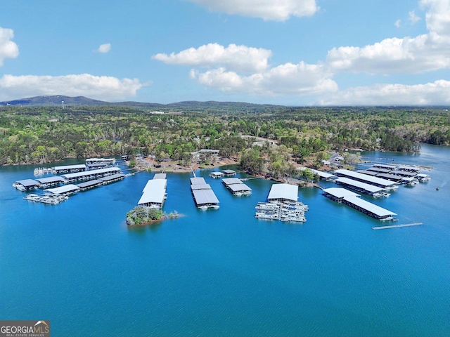 birds eye view of property with a wooded view and a water view