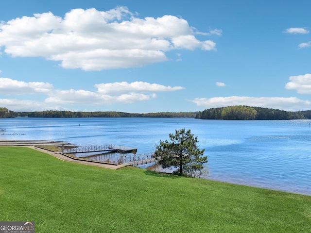 property view of water with a dock