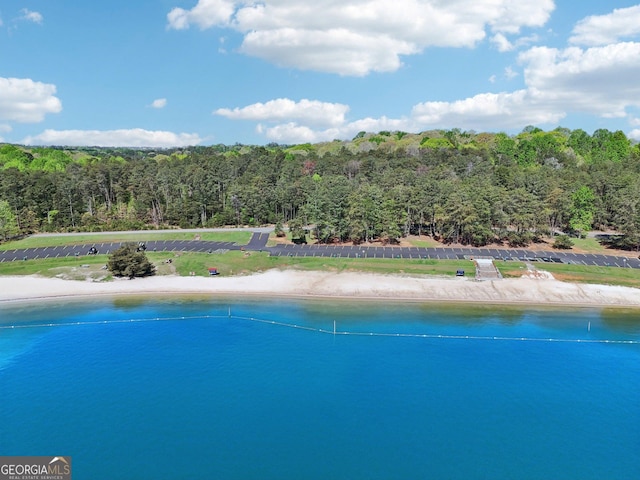 property view of water featuring a view of trees
