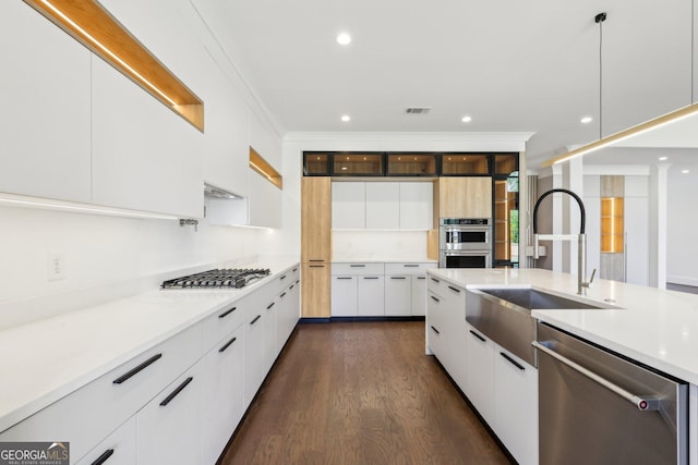 kitchen featuring stainless steel appliances, dark wood-style flooring, modern cabinets, and a sink