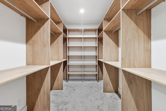 spacious closet with carpet