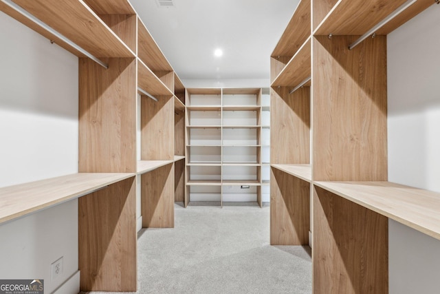 walk in closet with light colored carpet