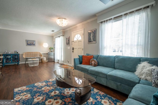 378 Beechwood Dr, Athens, GA 30606 - living area with a healthy amount of sunlight, ornamental molding, and wood finished floors