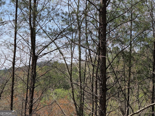0 Sportarten Strasse Lot 97 & 98, Helen, GA 30545