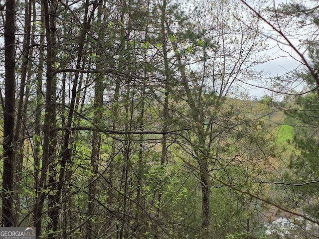0 Sportarten Strasse Lot 97 & 98, Helen, GA 30545