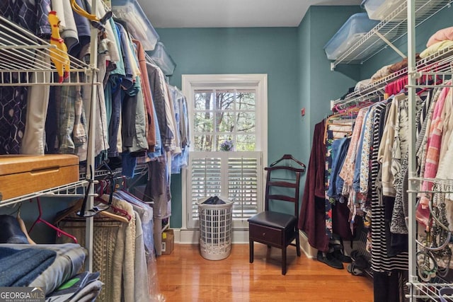 spacious closet featuring wood finished floors