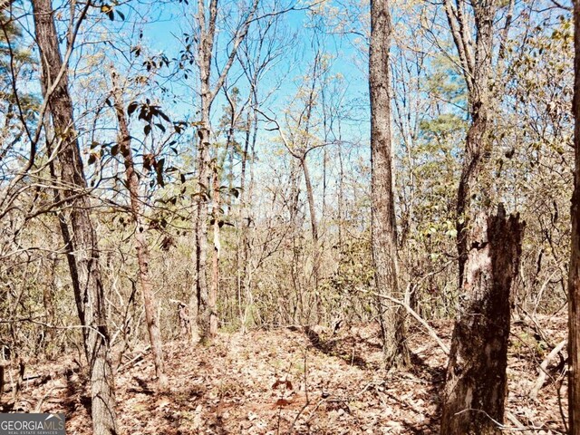 LOT751 Morton Dr Unit 751/752, Ellijay, GA 30540