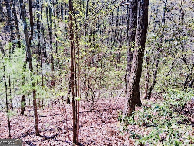 LOT751 Morton Dr Unit 751/752, Ellijay, GA 30540