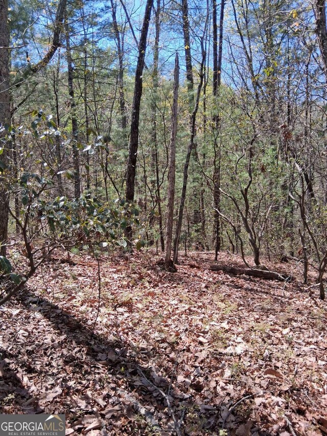 LOT751 Morton Dr Unit 751/752, Ellijay, GA 30540