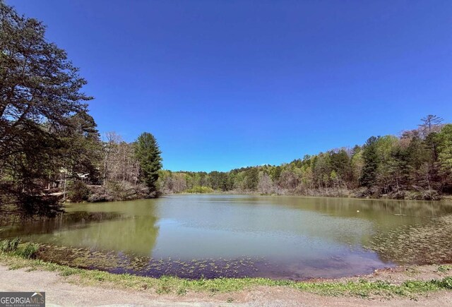 LOT751 Morton Dr Unit 751/752, Ellijay, GA 30540