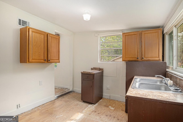 washroom featuring a sink, visible vents, baseboards, and light wood-style floors