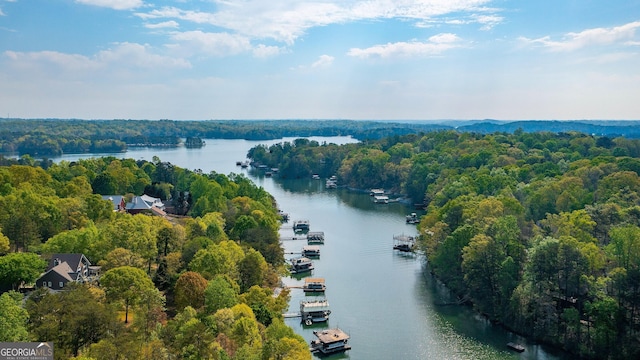 4650 Perry Rd, Gainesville, GA 30506 - aerial view featuring a water view and a view of trees