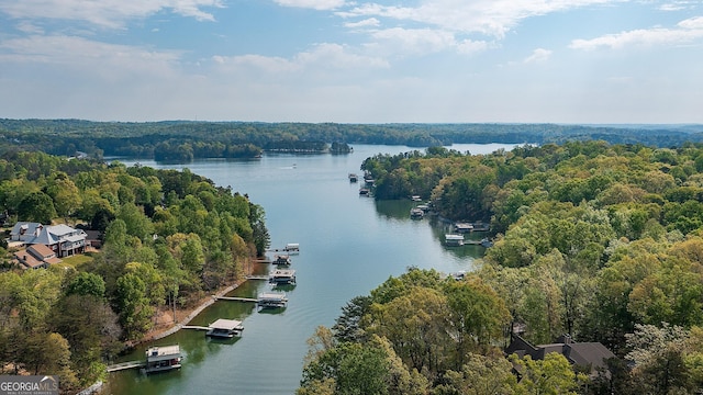 4650 Perry Rd, Gainesville, GA 30506 - bird's eye view with a water view and a view of trees