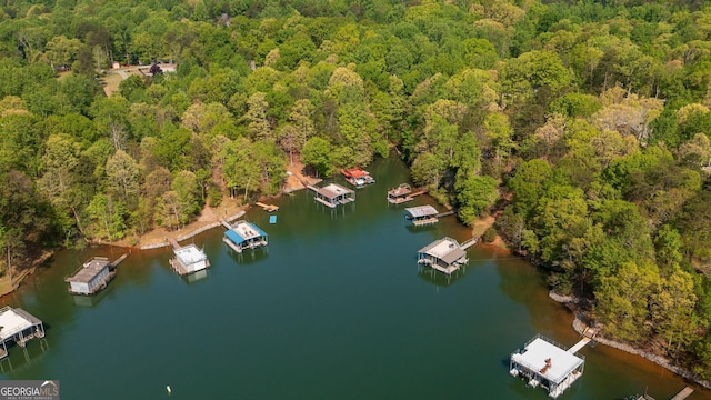 4650 Perry Rd, Gainesville, GA 30506 - bird's eye view featuring a water view and a wooded view